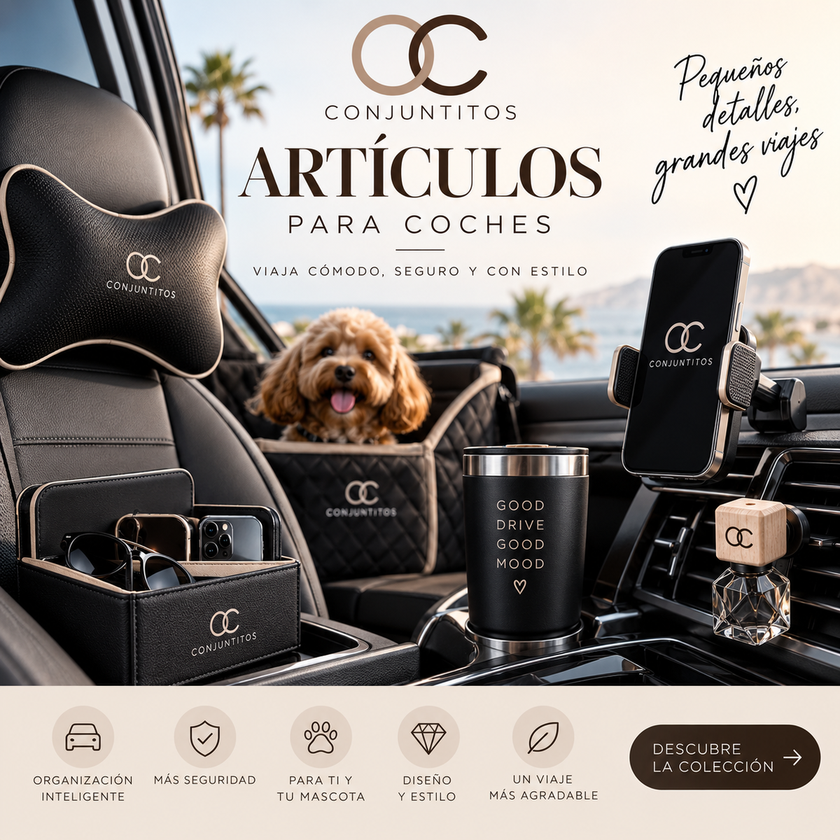 Artículos coche 🚘